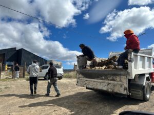 Lee más sobre el artículo ¡Ya entregamos más de 11000 estacas de álamos!