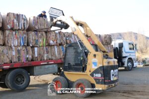 Lee más sobre el artículo En el Día del Ambiente