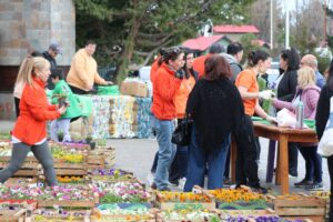 Lee más sobre el artículo ENTREGAMOS CIENTOS DE ESTACAS Y PLANTINES PARA LOS VECINOS