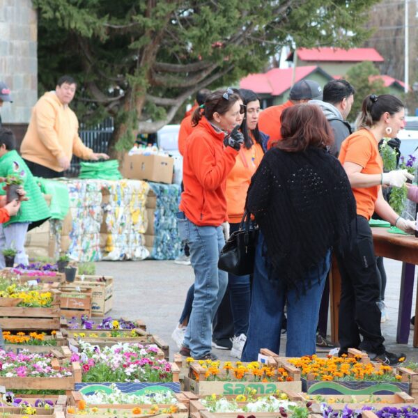 ENTREGAMOS CIENTOS DE ESTACAS Y PLANTINES PARA LOS VECINOS
