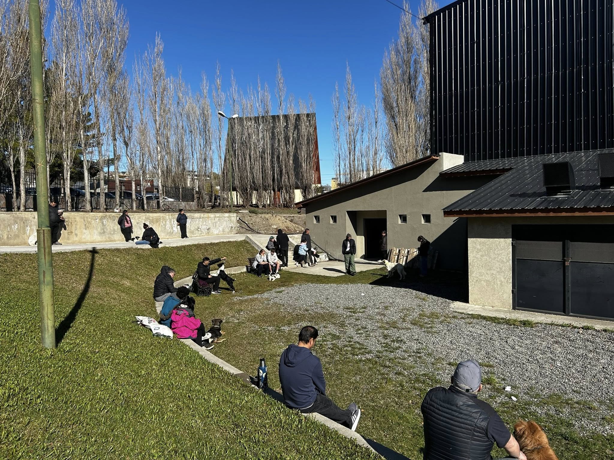 Lee más sobre el artículo Exitosa Jornada de Castración Masiva en El Calafate