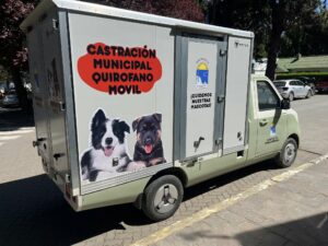 Lee más sobre el artículo Nuevo Castramovil Municipal